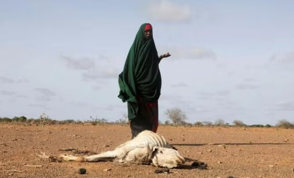 5 Pemicu Konflik Ethiopia dan Somila yang Bisa Memicu Perang Baru di Tanduk Afrika