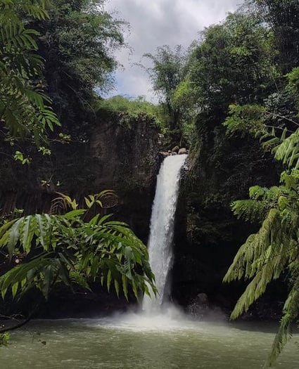 10 Curug di Bogor yang Paling Dekat dengan Jakarta, Nomor 7 Lagi Viral