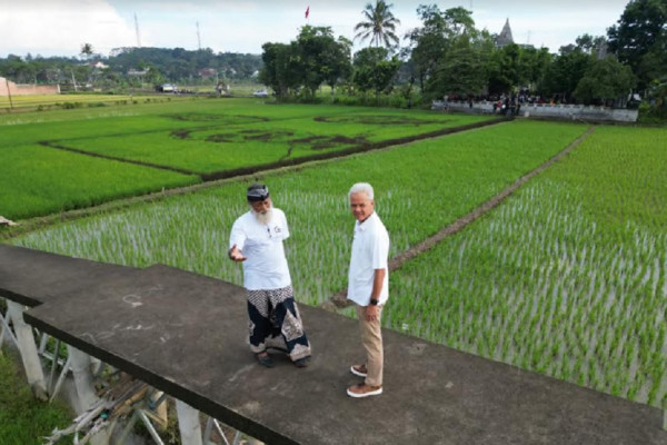 Unik, Seniman Semarang Tunjukkan Dukungan dengan Lukisan Ganjar-Mahfud di Media Padi Sawah
