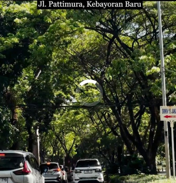 5 Rekomendasi Jalan-Jalan di Jakarta Rasa Korea, Sejuk Penuh Pepohonan