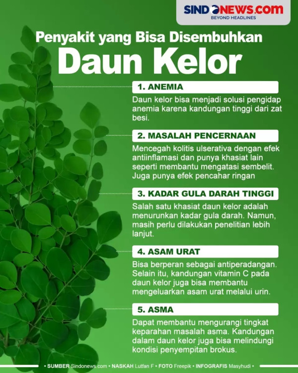 9 Manfaat Minum Air Rebusan Daun Kelor, Bisa Menurunkan Gula Darah dan Kolesterol