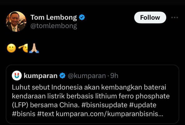 Tom Lembong Respons Pernyataan Luhut Ikut Kembangkan Baterai LFP Bareng China