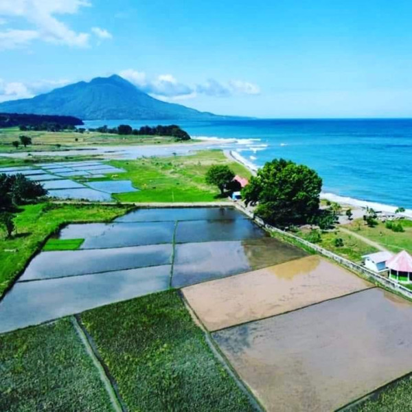 Jelajah Keindahan Manggarai Timur Flores yang Eksotis, Ada Perpaduan Pantai dan Sawah