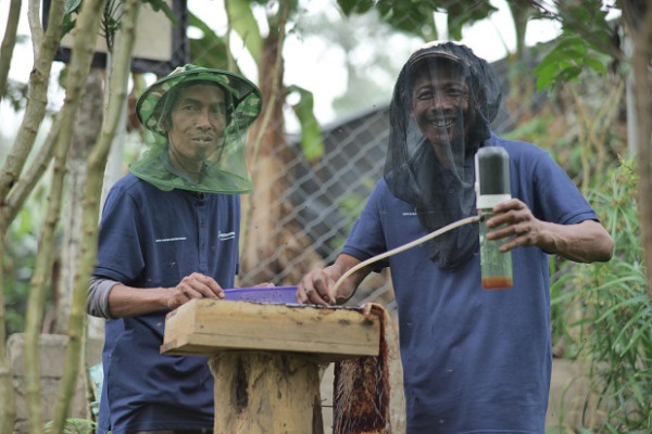 Bagian dari Perhutanan Sosial, Hutan Pertamina Tanam Enam Juta Pohon
