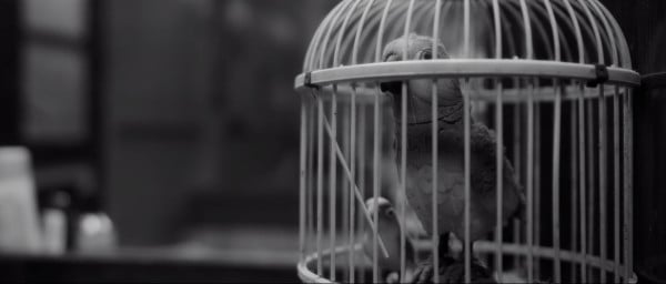 Review Film The Three Blackbirds: Homoseksualitas dalam Keluarga Islami