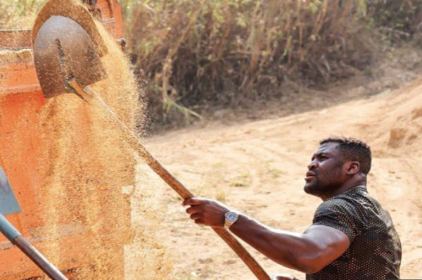 Kisah Francis Ngannou: Penambang Pasir, Berebut Makan dengan Tikus, Juara UFC