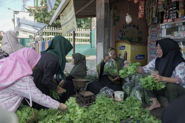 Kolaborasi BRInita dengan Warga Ubah Lahan Sempit Jadi Produktif