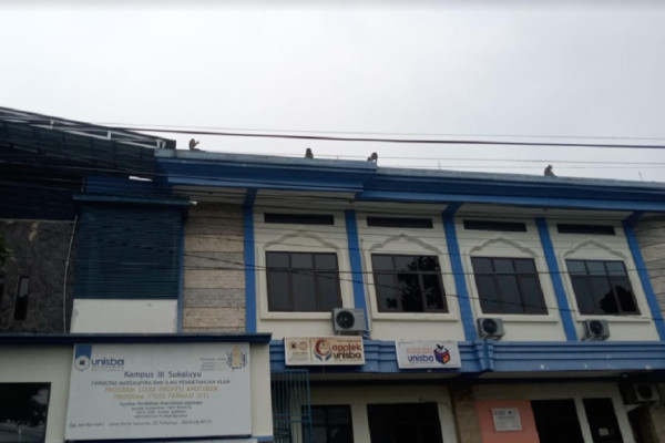 Edan, Gerombolan Monyet Liar Masuk Kota Bandung, Nongkrong di Atap Rumah dan Gedung