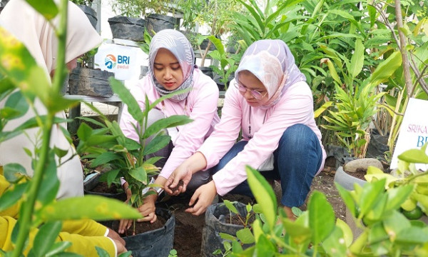 BRI Terus Komitmen Terapkan Sustainable Finance di Indonesia