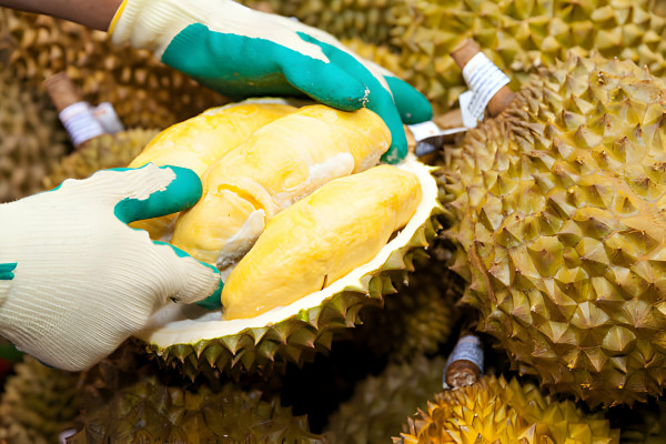 5 Makanan Indonesia yang Tidak Disukai Wisatawan Mancanegara