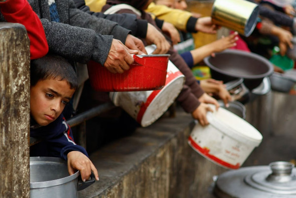 5 Fakta Bencana Kelaparan yang Melanda Gaza