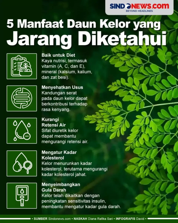 Manfaat Daun Kelor untuk Penyakit Apa Saja? Salah Satunya Turunkan Kolesterol