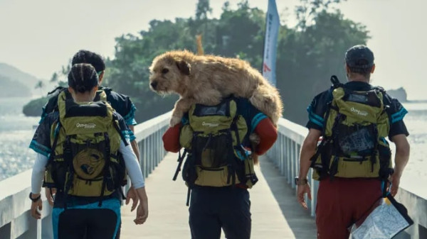 Review Film Arthur the King: Surat Cinta untuk Anjing Liar
