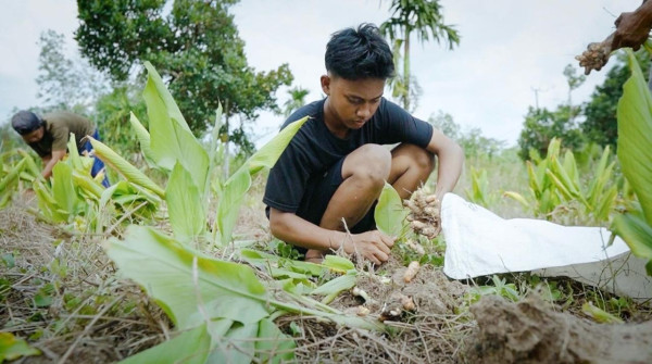 Intip Cerita Desa Ibru di Muaro Jambi, Pemenang Desa BRILian Paling Inovatif dan Digitalisasi Terbaik