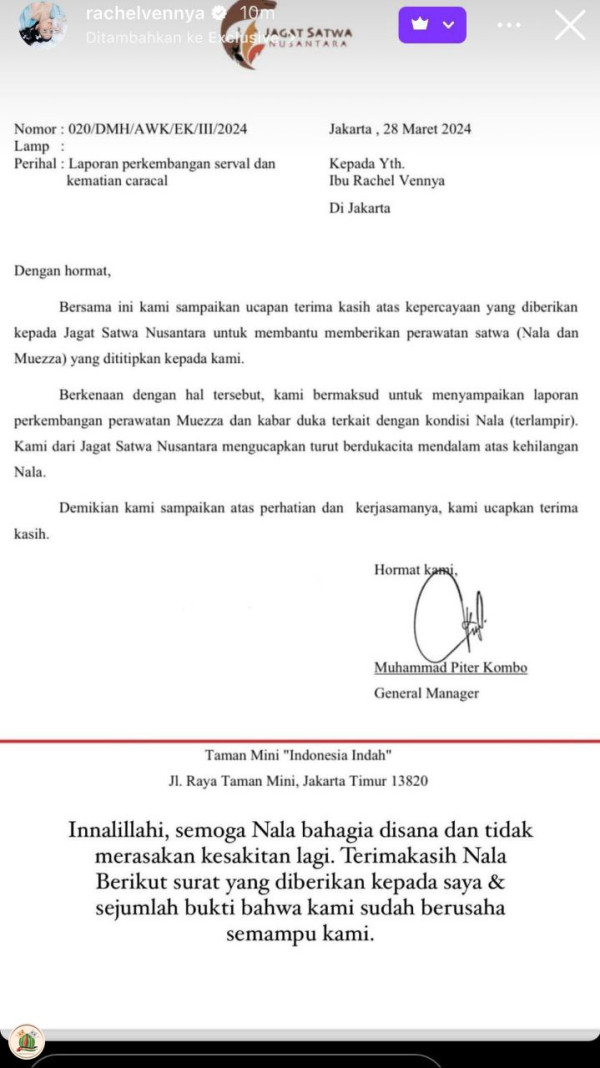 Kucing Hutan Peliharaan Okin yang Diduga Ditelantarkan Mati, Rachel Vennya Beberkan Penyebabnya