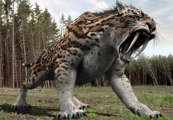Bertaring Panjang, Inilah Wujud Seram Leluhur Harimau Jawa