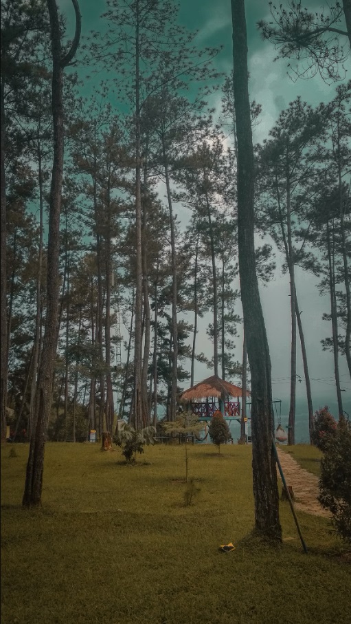 6 Destinasi Wisata di Sepanjang Jalur Pansela, Pas Buat Healing saat Mudik