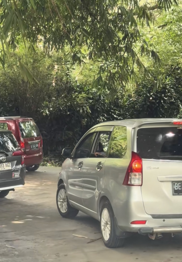 Viral! Pengunjung Taman Safari Nekat Buka Kaca Mobil di Kandang Singa, Bikin Ketar-ketir