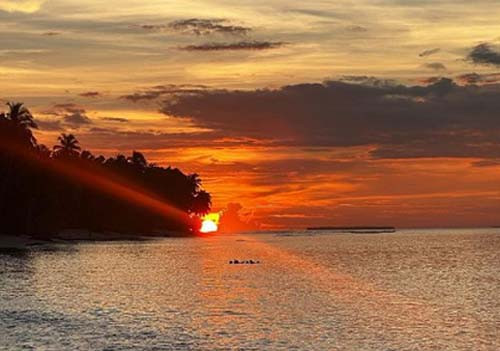 Dikunjungi Anthony Kiedis dan Supermodel Stella Maxwell, seperti Ini Keindahan Mentawai