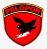 Mau Tahu Perbedaan Brimob Pelopor dan Gegana? Simak Nih!