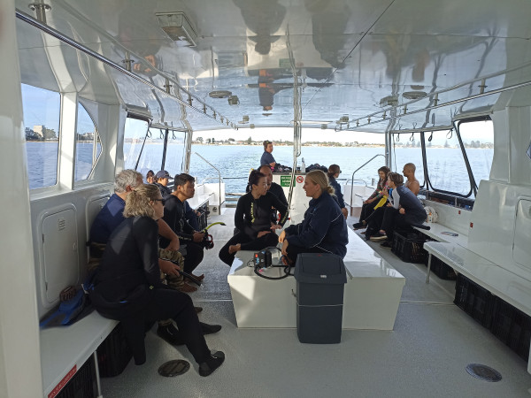 Seru Banget Renang di Laut Bareng Lumba-Lumba di Rockingham Perth