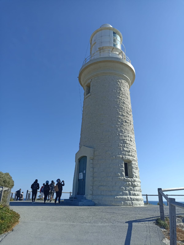 Selfie Bareng Quokka dan Melihat Kawanan Lumba-Lumba di Pulau Rottnest Australia