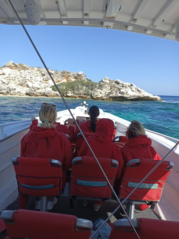 Selfie Bareng Quokka dan Melihat Kawanan Lumba-Lumba di Pulau Rottnest Australia