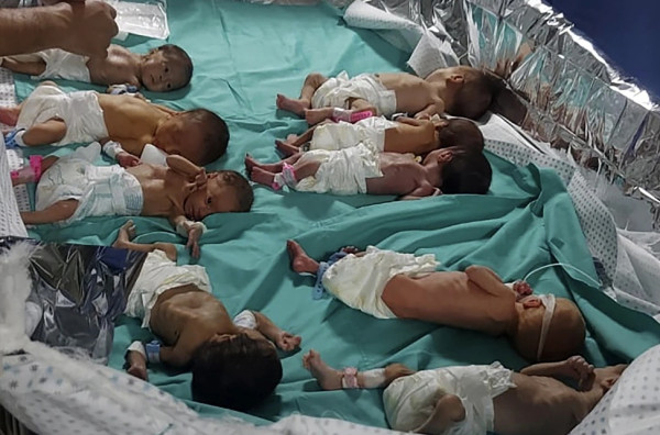 4 Alasan Israel Menahan Direktur Rumah Sakit Al Shifa