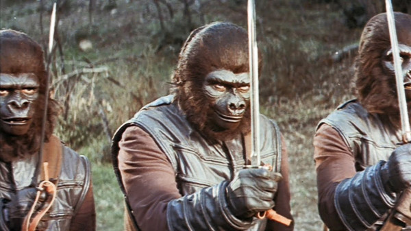 Urutan Nonton Film Franchise Planet of the Apes sesuai Kronologi Cerita