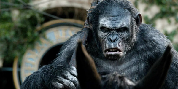 Urutan Nonton Film Franchise Planet of the Apes sesuai Kronologi Cerita