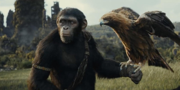 Penjelasan 5 Klan dan Koloni dalam Kingdom of the Planet of the Apes