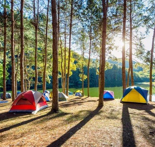 7 Rekomendasi Tempat Glamping Dekat Jakarta, Cocok untuk Liburan Keluarga