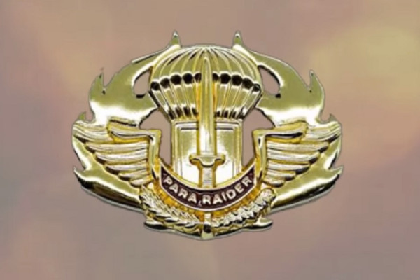 Daftar Brevet TNI AD, Jenis dan Maknanya