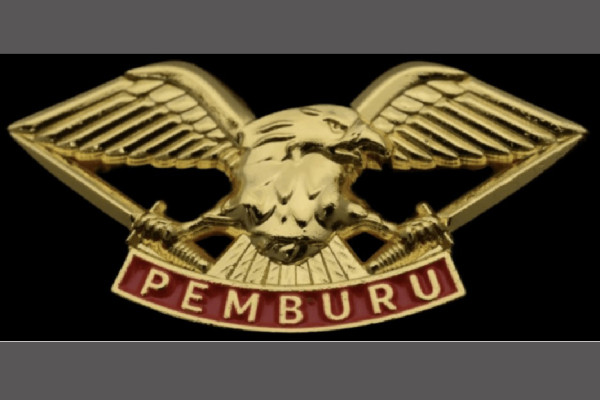 Daftar Brevet TNI AD, Jenis dan Maknanya