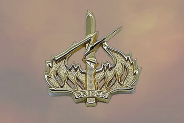 Daftar Brevet TNI AD, Jenis dan Maknanya