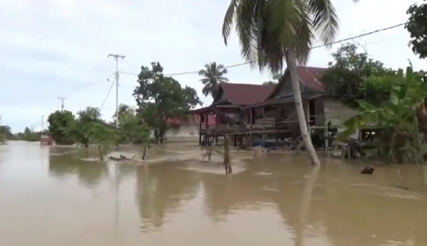 Banjir Luwu Utara Meluas, 24 Desa di 5 Kecamatan Terendam