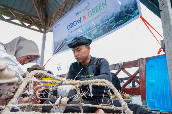 Jaga Ekosistem Laut dan Kembangkan Potensi Wisata Daerah, BRI Menanam Grow & Green