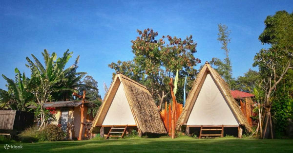 5 Rekomendasi Glamping di Kintamani Bali Lengkap dengan Harga dan Lokasi