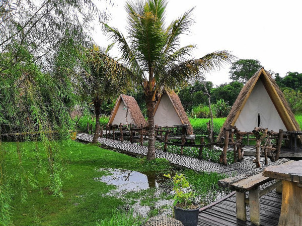5 Rekomendasi Glamping di Kintamani Bali Lengkap dengan Harga dan Lokasi