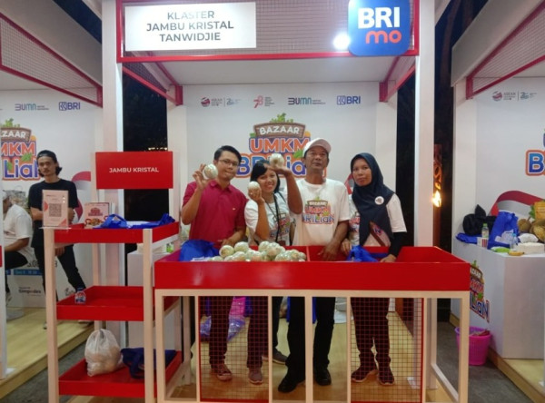 KUR BRI Dorong Kemajuan Klaster Produksi Jambu Kristal di Purworejo