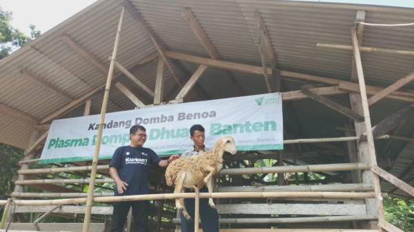 Memotret Kebermanfaatan Tebar Hewan Kurban Dompet Dhuafa di Masyarakat Pelosok Banten