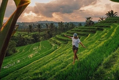 6 Rekomendasi Tempat Wisata Paling Sejuk di Bali, Cocok untuk yang Kurang Suka Pantai