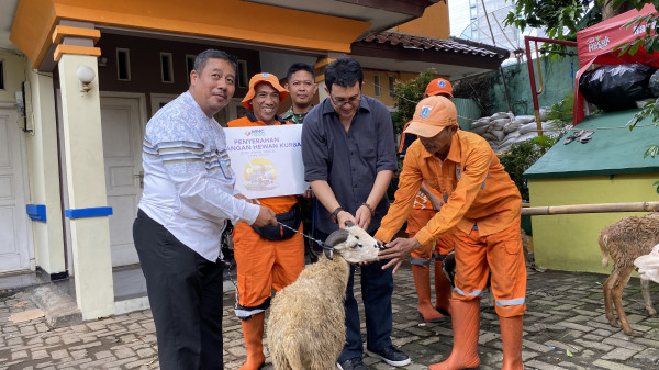 MNC Peduli Salurkan Hewan Kurban ke Berbagai Wilayah
