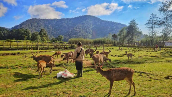 10 Tempat Wisata Dingin di Jawa Barat, Suhunya hingga 8 Derajat Celsius