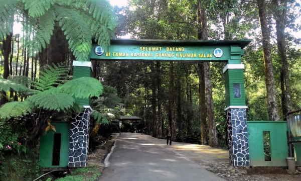 10 Tempat Wisata Dingin di Jawa Barat, Suhunya hingga 8 Derajat Celsius