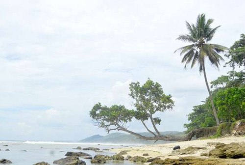 11 Tempat Wisata di Pangandaran yang Seru Dikunjungi, Cocok untuk Liburan Bareng Teman atau Keluarga
