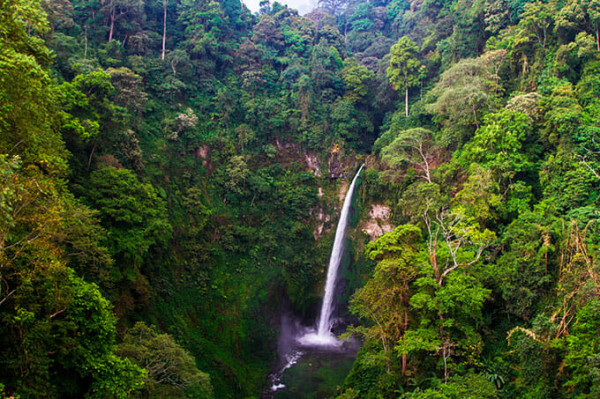 8 Tempat Wisata Sejuk di Malang Jawa Timur, Udaranya Segar