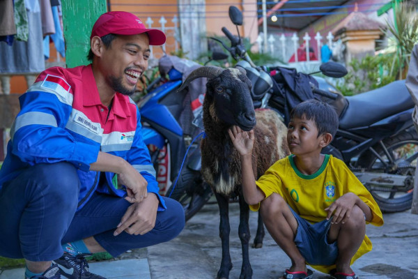 Berbagi di Hari Raya Iduladha, Pertamina Salurkan 4.493 Hewan Kurban