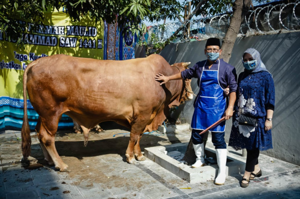 Program Pemberdayaan BRI Sukses Antarkan Peternak Kambing Kembangkan Usaha