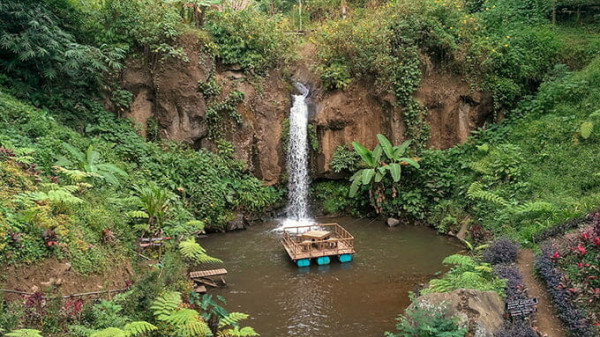 Coban Jahe, Keindahan Tersembunyi di Tengah Hutan Malang
